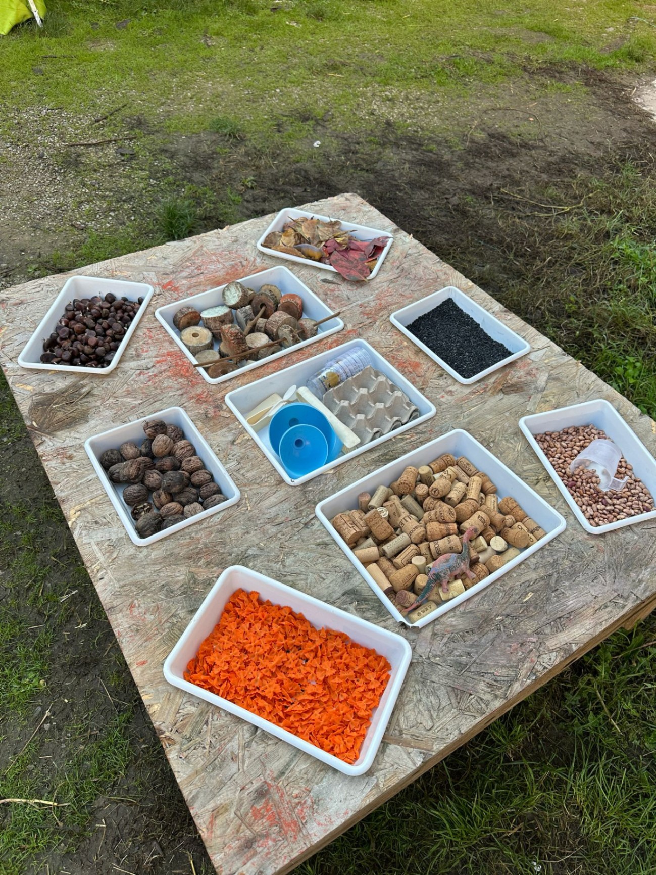 Bambini in attività alla fattoria