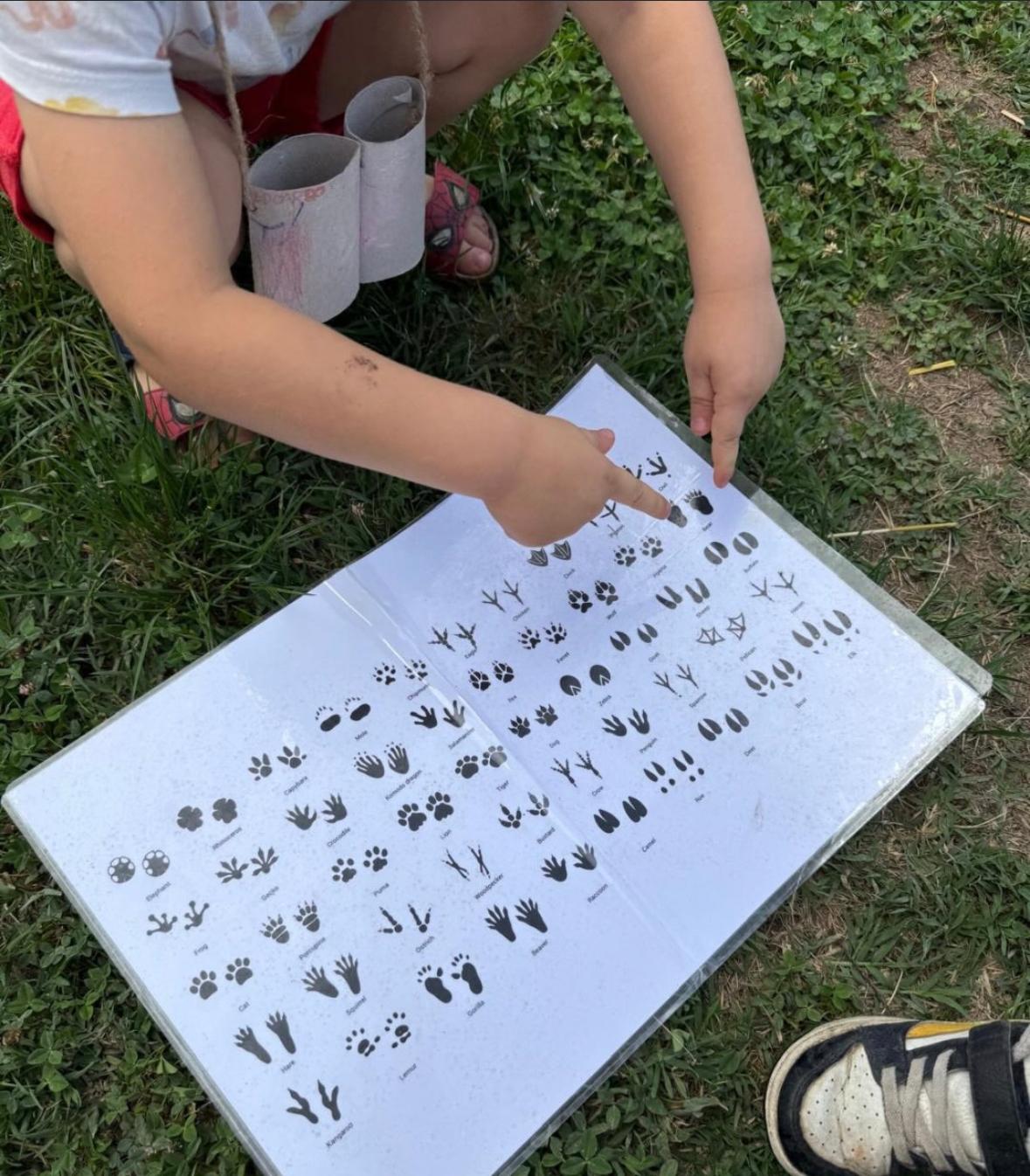 Bambino che indica le impronte degli animali su una tavola didattica nel prato